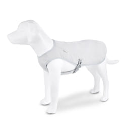 Wolters 80901 abbigliamento da esterno per cani e gatti XS Grigio Poliestere Cane Giacca