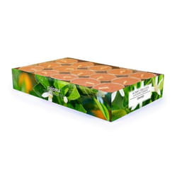 Pajoma 4019581910260 candela di cera Rotondo Arancione Verde, Arancione 30 pz