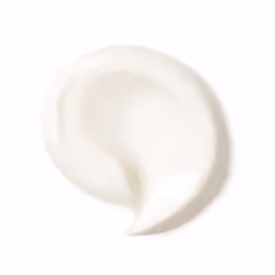 Dr. Hauschka Rose Day Cream Crema da giorno Viso 30 ml - Vista aggiuntiva 2