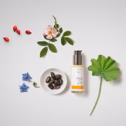 Dr. Hauschka Soothing Day Lotion Lozione per viso 50 ml - Vista aggiuntiva 3