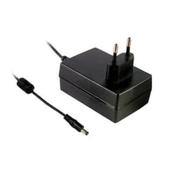 MEAN WELL GSM36E24-P1J adattatore e invertitore 36 W