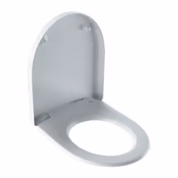 realizzato in termoindurimento, attacco dall'alto, coperchio wc sovrapposto, cerniere in acciaio inox. Materiale: Termoinduri ...