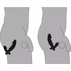 Vibratore prostatico a forma di pene| Rebel 1 St - Vista aggiuntiva 4