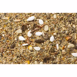 JR Farm Dwarf hamsters' feast Fette 600 g Criceto