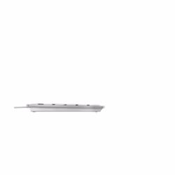 CHERRY KC 6000C FOR MAC tastiera Universale USB QWERTY Nordic Argento - Vista aggiuntiva 5