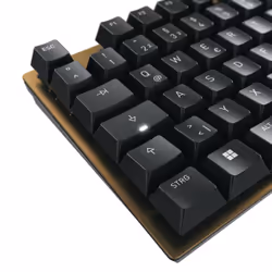 CHERRY KC 200 MX tastiera Universale USB QWERTZ Tedesco Nero, Bronzo - Vista aggiuntiva 5