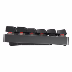 CHERRY MX 8.2 TKL Wireless RGB tastiera Gaming USB + RF Wireless + Bluetooth QWERTZ Tedesco Nero - Vista aggiuntiva 4