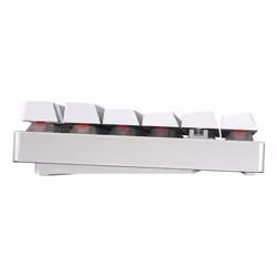 CHERRY MX 8.2 TKL Wireless RGB tastiera Gaming USB + RF Wireless + Bluetooth QWERTZ Tedesco Bianco