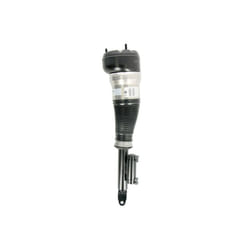 Puntone per sospensione pneumatica BILSTEIN - B4 OE Replacement (Air) BILSTEIN 44-239961 sinistro