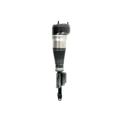 Puntone per sospensione pneumatica BILSTEIN - B4 OE Replacement (Air) BILSTEIN 44-240011