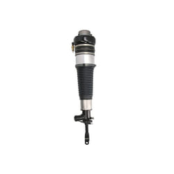 Puntone per sospensione pneumatica BILSTEIN - B4 OE Replacement (Air) BILSTEIN 45-295355