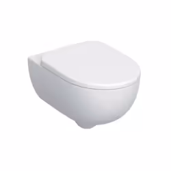 Finitura bianca lucida.con sistema rimfree (senza brida di risciacquo).compreso di sedile frizionato