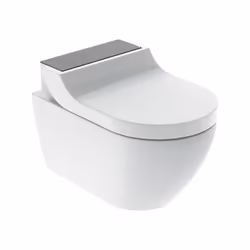 Impieghi Per un uso confortevole e inodore del WC Per una pulizia nutriente con acqua nella zona anale e vaginale Caratterist ...