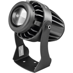 Eurolite - PST-10W 6400K Pinspot led Numero di led (Dettagli): 1 10 w