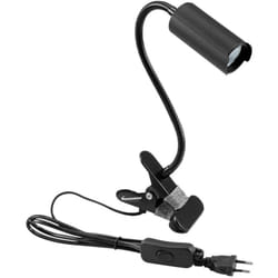 Eurolite - KKL-7 41600552 Lampada led con morsetto 7 w Nero