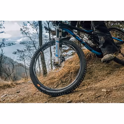 Schwalbe Magic Mary 29" MTB Penumatico tubeless