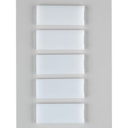 Schneider Electric 1225170 targhetta non-metallica Bianco