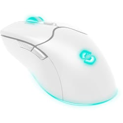 SPEEDLINK SL-680102-WT mouse Gaming Mano destra RF Wireless + USB Type-A Ottico 4800 DPI