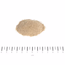 Canina Knoblauch Pulver Cane Polvere