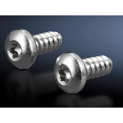 Rittal 2486.600 giravite e bullone 300 pz Vite