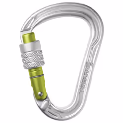Edelrid 737690000060, Chiusura a vite, Moschettone di blocco, A forma di D, Alluminio, Verde chiaro, Argento, 22 kN