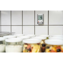 Registratore di temperatura 175 T1 con canale internet ntc Testo 0572 1751