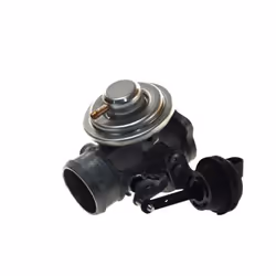 Valvola EGR WAHLER 7241D