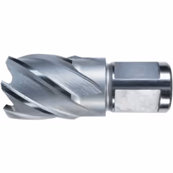 Trapano core, vuoto Hss Con World donship-19 mm, 2 aree da asporto Foro interno 6,35 mm Il trapano Core cratters solo un sott ...