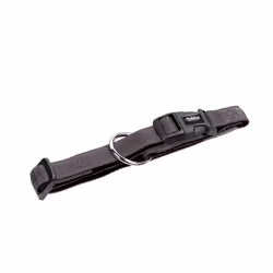 Nobby 78511-74, Collare standard, Grigio, Nylon, S-M, 20 mm
