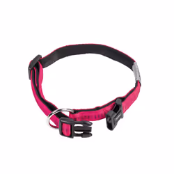Nobby 78511-77, Cane, Collare standard, Fucsia, Nylon, S-M, 20 mm