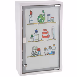 Combinando design e funzionalità, questo armadietto per medicinali in acciaio inossidabile con porta in vetro e serratura del ...