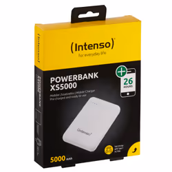 Intenso 7313522 batteria portatile Polimeri di litio (LiPo) Bianco