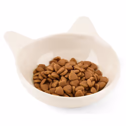CanadianCat C10120 ciotola per cani e gatti Gatto Ciotola per animali domestici - Vista aggiuntiva 2