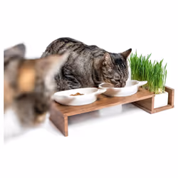 CanadianCat C10120 ciotola per cani e gatti Gatto Ciotola per animali domestici - Vista aggiuntiva 4
