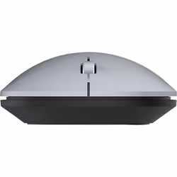 TERRA NBM1000S mouse Ambidestro RF senza fili + Bluetooth Ottico 4000 DPI