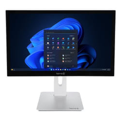 Wortmann AG TERRA 1000034 All-in-One PC Intel® Core™ i5 i5-14500 60,5 cm (23.8") 1920 x 1080 Pixel PC All-in-one 8 GB DDR5-SDRAM 500 GB SSD Windows 11 Pro Wi-Fi 6 (802.11ax) Nero, Argento