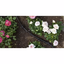 Kärcher 2.645-227.0 pompa da giardino 10 m Nero