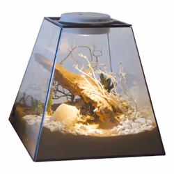 Lucky Reptile LDS-01 ornamento decorativo per habitat di rettili e anfibi Piante Legno 1 pz