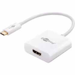 Goobay 66259 adattatore grafico USB Bianco