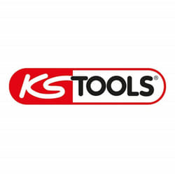 Kstools - ks Tools 920.0210 - Chiave poligonale doppia curva 10 x 11 mm