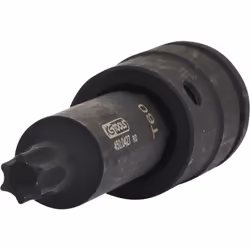Per viti Torx Quadro femmina a norma DIN 3121 / ISO 1174 Finitura lunga Utilizzo con avvitatori Fosfatata Cromo-molibdeno Lun ...