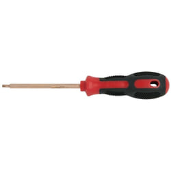 BERYLLIUMplus Giravite torx T10