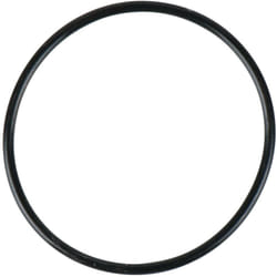 O-Ring per cilindro