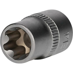 Bussola e Torx 3/8&apos&apos, E14