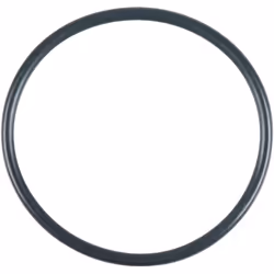 O-Ring 55 x 3 mm Peso del tessuto 10 Diametro in mm 55,0 Dimensioni dell'imballaggio 1
