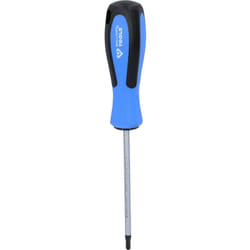 Giravite torx, T20 x 100 mm