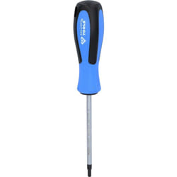 Brilliant Tools - Giravite torx, T25 x 100 mm