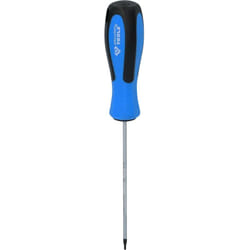 Giravite TORX, T6 x 100 mm