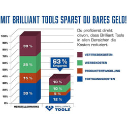 BRILLIANT TOOLS BT013813 - Chiave poligonale a cricchetto reversibile, 13 mm [Powered by KS TOOLS]