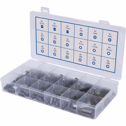 Assortimento da 108 pezzi rispettivamente 6 inserti per ciascun profilo intaglio, PH, PZ, Torx, esagono incassato 1/4" (6,3 m ...